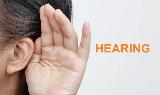 ALL HEARING LOSS PRODUCTS